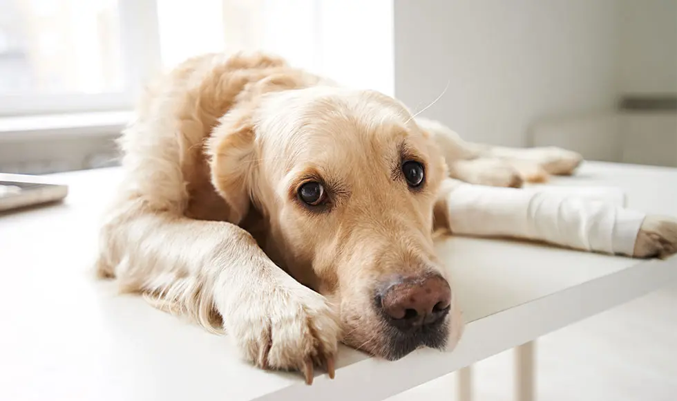 Müdigkeit und Stress als Warnsignale